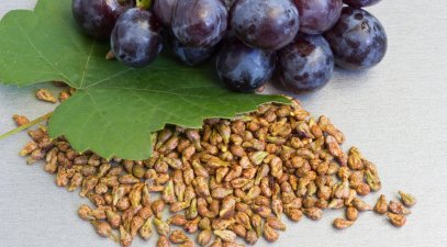 Üzüm Çekirdeğinin Cildinize Faydaları